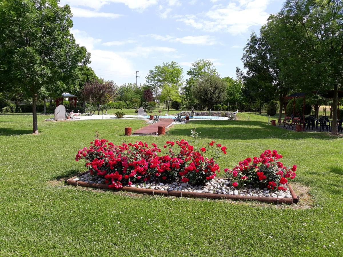 Hotel B&B Dogana Vecchia Trivignano Udinese Exterior foto